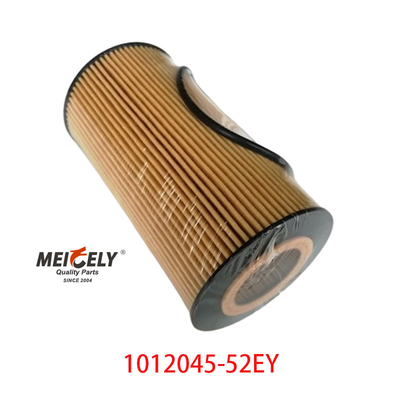 مرشح الزيت OEM 1012045-52EY لشركة FAW Dachai Deutz