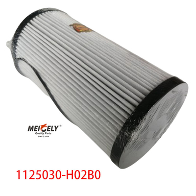1125030-H02B0 قطع غيار الشاحنات فلتر الوقود لـ Dongfeng Tianlong