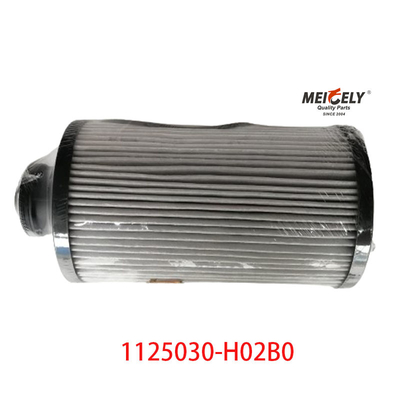 1125030-H02B0 قطع غيار الشاحنات فلتر الوقود لـ Dongfeng Tianlong