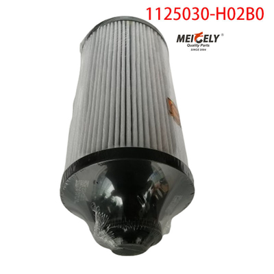 1125030-H02B0 قطع غيار الشاحنات فلتر الوقود لـ Dongfeng Tianlong