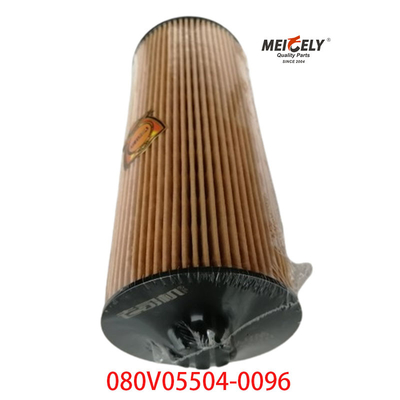 مخزون OEM 080V05504-0096 لشركة سينوتروك Howo T5G فلتر زيت الشاحنة
