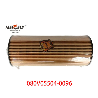 مخزون OEM 080V05504-0096 لشركة سينوتروك Howo T5G فلتر زيت الشاحنة