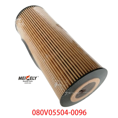 مخزون OEM 080V05504-0096 لشركة سينوتروك Howo T5G فلتر زيت الشاحنة