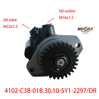 4102-C3B-01B.30.10-SY1-2297/DR مضخة توجيه تشاوشاي