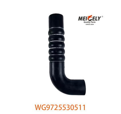 أجزاء شاحنة منفذ المشعّل الأصلية WG9719530236 لشركة Sinotruk HOWO