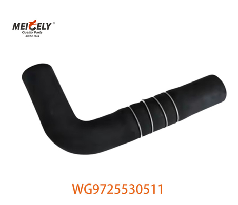 أجزاء شاحنة منفذ المشعّل الأصلية WG9719530236 لشركة Sinotruk HOWO