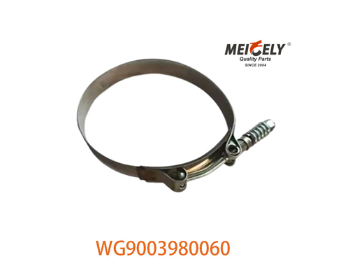 OEM WG9003980060 مشبك أنبوب قوي لـ SINOTRUK HOWO