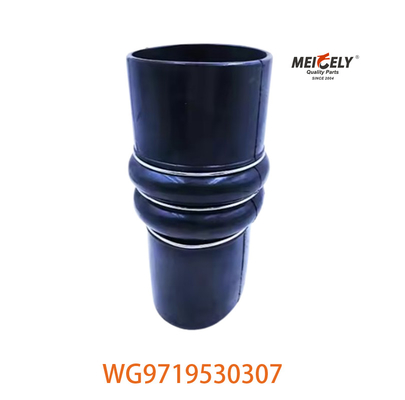 خرطوم الصرف الصلب لشركة Sinotruk WG9719530307 WG9719530227