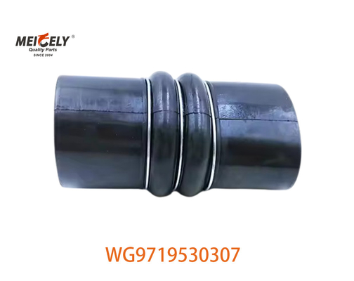 خرطوم الصرف الصلب لشركة Sinotruk WG9719530307 WG9719530227