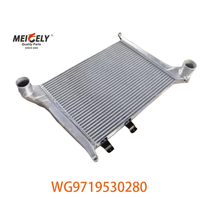 OEM WG9719530280 لجمعية Howo Intercooler WG9719530281