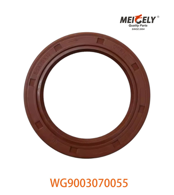WG9003070055 ختم الزيت PS55X75X12 مناسبة لـ SINOTRUK CNHTC HOWO