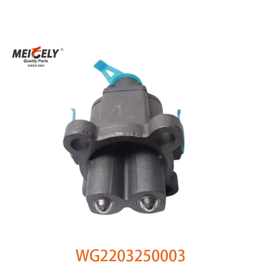 مجموعة الصمام المزدوج H الأصلية لـ HOWO OE رقم WG2203250003