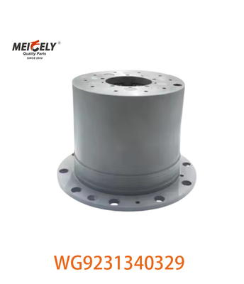 WG9231340329 الصورة الأصلية للجمعية الكوكبية العرض للسيارة نموذج SINOTRUK HOWO