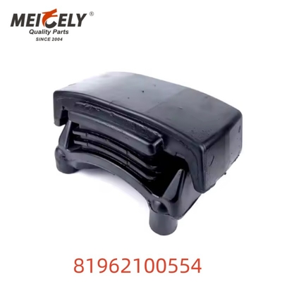 OEM 81962100554 أجزاء شاحنة تركيب ربيع ورقة عالية الجودة للرجل