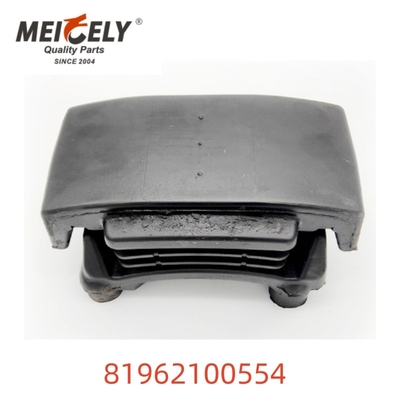 OEM 81962100554 أجزاء شاحنة تركيب ربيع ورقة عالية الجودة للرجل